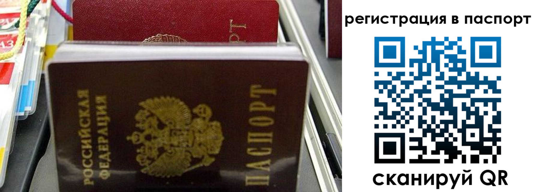прописка для школы в Стародубе